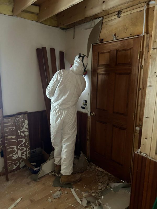 Mold Removal Oneida NY